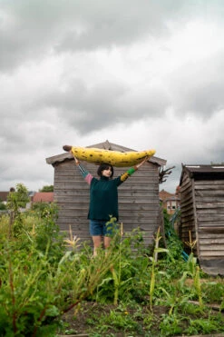 Donna Wilson Hettie Turtleneck Jumper - Green -Happy Gift Store HettieSweater S1 LoRes SFW