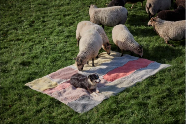 Donna Wilson Abstract Shapes Rug 4 Donna Wilson Abstract Shapes Rug - Image 2